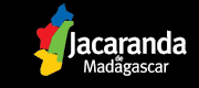 Jacaranda Madagascar