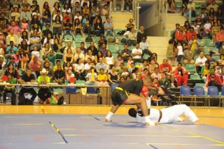 rns-mulhouse-2011-arts-martiaux-169