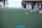 248084_460591740683455_681960332_n-copie-copie