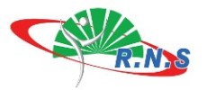 Logo RNS 2024